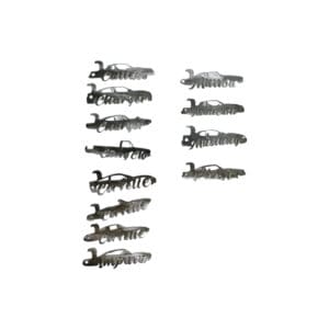 A group of different types of fish are shown.